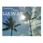 Greetings From Hawaii - Palm Trees Postcard