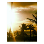Greetings From Hawaii Postcard