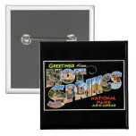 Greetings from Hot Springs! Pins