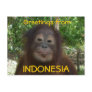 Greetings from INDONESIA Photo Postcards