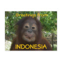 Greetings from INDONESIA postcard by Rebecca_Reeder Greetings from INDONESIA postcard