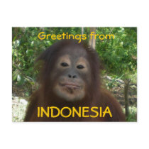 Greetings from INDONESIA postcard