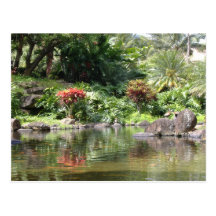 Greetings From Kauai Postcards