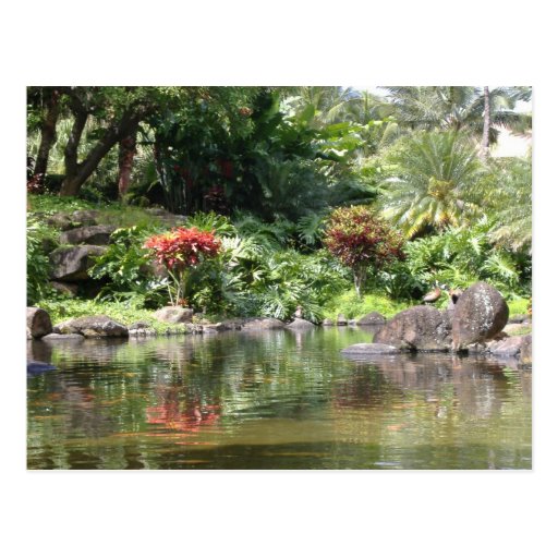 Greetings From Kauai Postcards