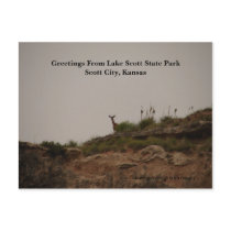 Greetings From Lake Scott State Park postcards by wksimages Greetings From Lake Scott State Park postcards