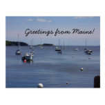 Greetings from Maine Postcard