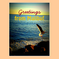 Greetings from Malibu! postcards