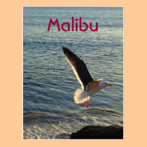 Greetings from Malibu! postcards