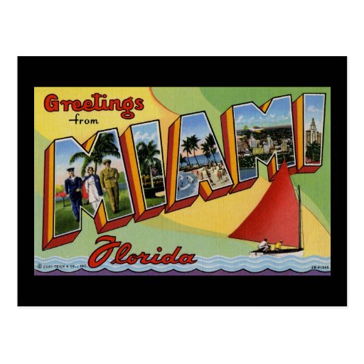 Greetings from Miami Florida Postcard