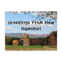 Greetings From New Hamster!  Postcard