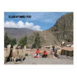 Greetings from Peru! Postcard