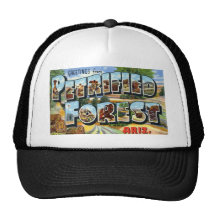 Greetings from Petrified Forest Arizona Mesh Hats