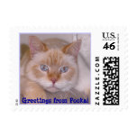 Greetings from Pooka! - Customized postage