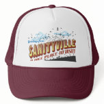 Greetings from Sanityville - a nice place to visit hats