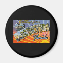Greetings from St. Petersburg Florida Fridge Magnet