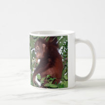 Greetings from Tanjung Puting National Park, Indon Coffee Mug