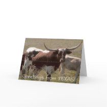 Greetings from TEXAS! cards