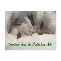 Greetings from the Australian Alps postcards