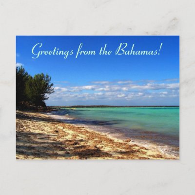 Greetings from the Bahamas! Postcard