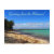bahamas, abaco, island, beach, sand, caribbean,