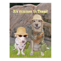 Greetings from the hot South! Postcards