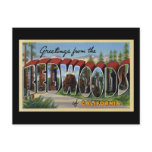 Greetings from the Redwoods of California