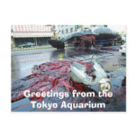 Greetings from the Tokyo Aquarium Postcard