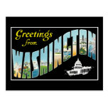 Greetings from Washington D.C.!  Vintage Post Card