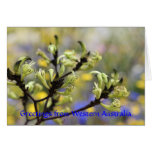 Greetings from Western Australia Card cards