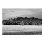 Greetings From Whiteface Post Cards