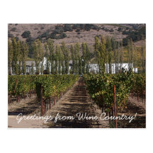 Greetings from Wine Country! Postcard