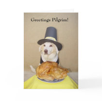 Greetings Pilgrim! cards by myrtieshuman Greetings Pilgrim! cards