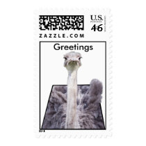 Greetings Postage Stamp stamps