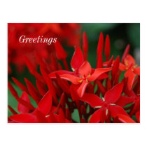 Greetings postcards