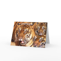Greetings with Love_Card