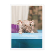 Gremlin postcards
