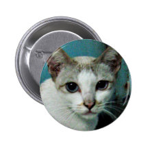 Gremlin the Siamese Cat ... Thailand Button