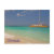 grenada, caribbean, tropical, beach, holiday,