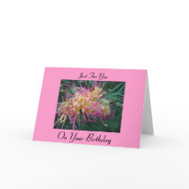 Grevillea Cards