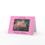 Grevillea Cards