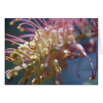 Grevillea Flower Card