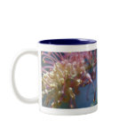 Grevillea Flower mugs