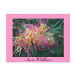 Grevillea postcards