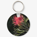 Grevillea "Silvia" keychains