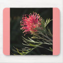 Grevillea "Silvia" mousepads