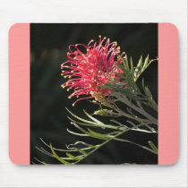 Grevillea "Silvia" mousepads
