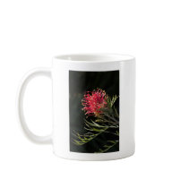 Grevillea "Silvia" mugs