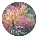 Grevillea Stickers