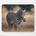 Grevy's Zebra mousepads