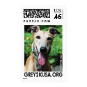 GREY2K USA Education Fund Postage postage by grey2kusa GREY2K USA Education Fund Postage postage